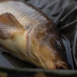 Trakker DPM Crib, Ovale Abhakmatte -Astral Camping trakker dpm oval crib in use 5