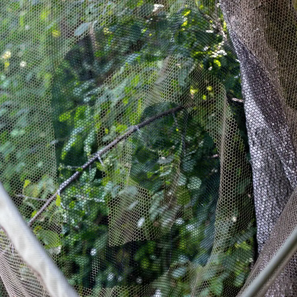 Trakker Propel Kescher, Einteilger Stab 7 Trakker Propel Kescher, Einteilger Stab – Bild 5